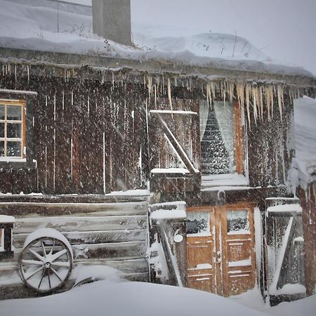 Albyggarden Βίλα Røros Εξωτερικό φωτογραφία